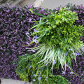 Artificial purple wall diy vertical garden for shop decoration